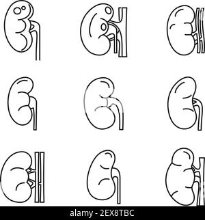 Set di icone di organi renali, stile contorno Illustrazione Vettoriale