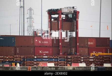 Un carrier a sella sposta un container nel porto di stoccaggio presso il terminal dei container DP World al porto di Southampton. Data immagine: Giovedì 4 marzo 2021. Foto Stock