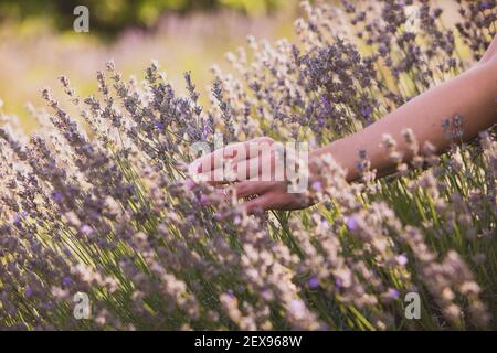 Godere della natura intatta è possibile attraverso il tocco Foto Stock