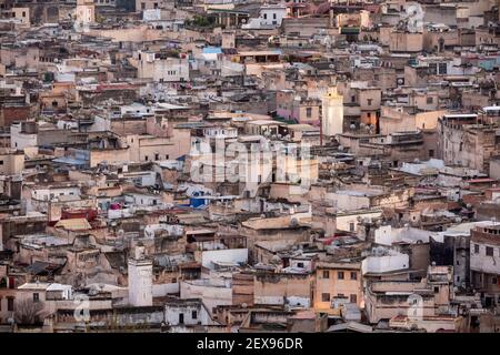Vista dal paesaggio urbano dei tetti della Medina Fes, vista dalle Tombe Marinide, Fes, Marocco Foto Stock