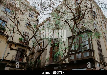 Barce, SPAGNA - 01 maggio 2019: Edificio residenziale dietro gli alberi a Barcellona, Spagna Foto Stock