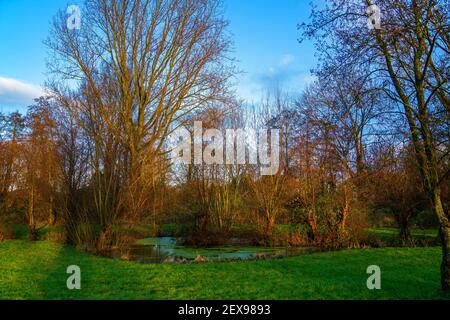 Scena nel parco con il sole che tramonta Foto Stock