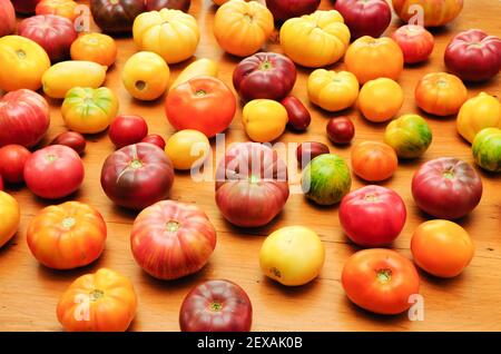 pomodori di cimelio dolci e succulenti freschi raccolti Foto Stock