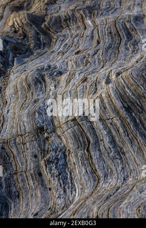 Rock strati sfondo, Roseland Peninsula, Cornovaglia, Regno Unito Foto Stock