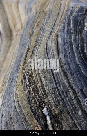 Rock strati sfondo, Roseland Peninsula, Cornovaglia, Regno Unito Foto Stock