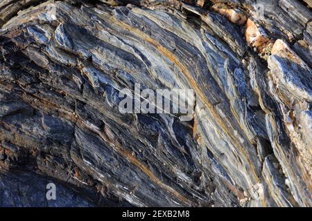 Rock strati sfondo, Roseland Peninsula, Cornovaglia, Regno Unito Foto Stock