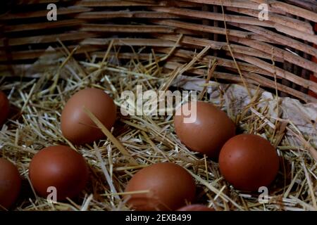 le uova naturali sono nutrienti e più gustose Foto Stock