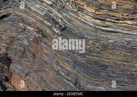 Rock strati sfondo, Roseland Peninsula, Cornovaglia, Regno Unito Foto Stock