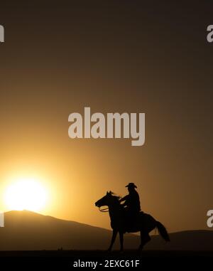 cavallo, cowboy, cane al tramonto, kayseri, turchia Foto Stock