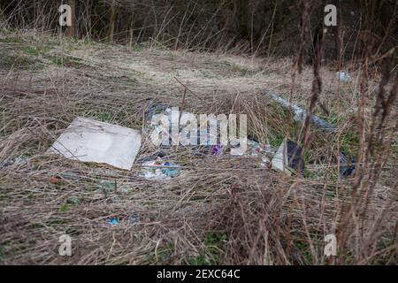 I rifiuti ribaltati di mosca e i rifiuti domestici illegalmente scaricati sul bordo di woodland.A locale vista comune in zone più povere del Regno Unito. Foto Stock