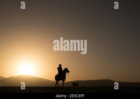 cavallo, cowboy, cane al tramonto, kayseri, turchia Foto Stock