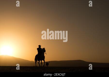 cavallo, cowboy, cane al tramonto, kayseri, turchia Foto Stock