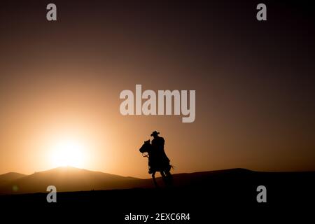 cavallo, cowboy, cane al tramonto Foto Stock