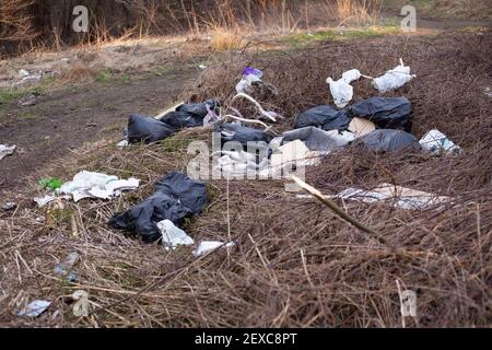 I rifiuti ribaltati di mosca e i rifiuti domestici illegalmente scaricati sul bordo di woodland.A locale vista comune in zone più povere del Regno Unito. Foto Stock