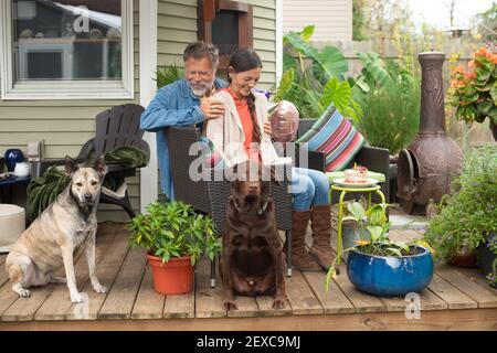 Coppia appeso con i loro animali domestici più Foto Stock