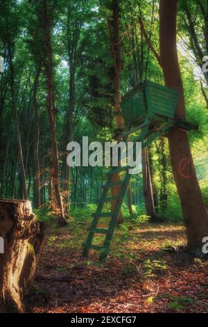 Un cacciatore seggiolone nel mezzo della foresta, mentre il sole tramonta Foto Stock