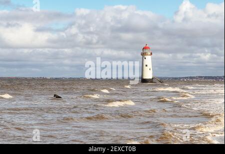 Cane che nuota nel mare accanto al faro di Talacre nel Galles del nord, Regno Unito Foto Stock