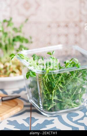 Piselli micrograni con semi e radici. Semi di piselli germogliati. Micro green germoglianti. Germinazione di seme a casa. Concetto di alimentazione vegana e sana. Ringhino Foto Stock