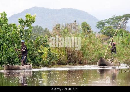 Uomini punting pirogue con asta di spinta, tradizionale canoe pirogue in legno fatto a mano, su un fiume, Maroansetra, Madagascar Foto Stock