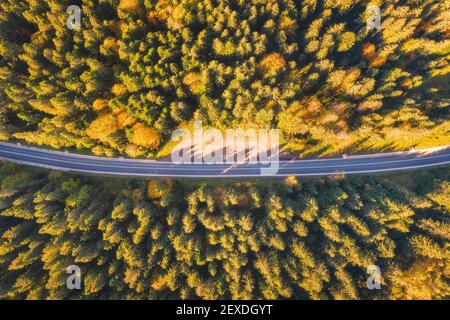 Vista aerea della strada di montagna nella bella foresta al tramonto Foto Stock