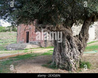 Sedilo, provincia di Oristano, Sardegna, Italia. Santuario di Santu Antine (San Costantino) Foto Stock