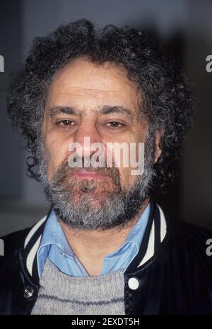 Abbie Hoffman 1980 Foto di Adam Scull-PHOTOlink.net / MediaPunch Foto Stock