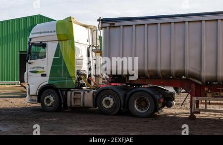 Hammond produce autocarri che raccolgono il carico di carote al raccolto, Luffness Mains Farm, East Lothian, Scozia, Regno Unito Foto Stock