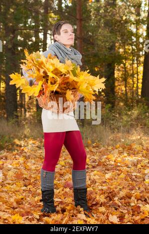 Attraente donna che raccoglie foglie d'autunno Foto Stock