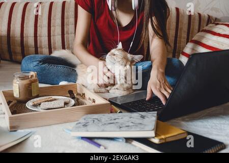 Equilibrio tra vita lavorativa, ufficio domestico, spazio di lavoro, lavoro da casa, concetto flessibile di orario di lavoro. Giovane donna con computer portatile e gatto che lavora sul divano. Foto Stock