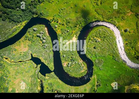 Vista aerea Green Forest Woods e River Landscape in Sunny Spring Summer Day. Vista dall'alto della bellissima natura europea dall'alto atteggiamento in autunno Foto Stock