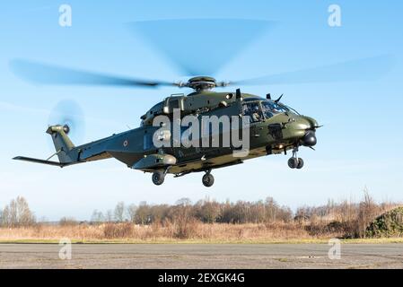 Un elicottero NHIndustries NH90 TTH dal 18° Squadrone dell'Aeronautica Belga. Foto Stock