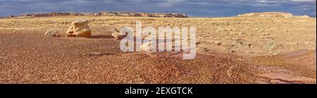 Panorama della Foresta pietrificata Blue Mesa AZ Foto Stock