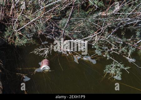 Foto d'inventario del fiume inquinato in campagna. Foto Stock