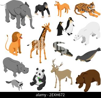 Animali da zoo erbivori e predatori con icone isometriche immagine vettoriale isolata con sfondo bianco Illustrazione Vettoriale