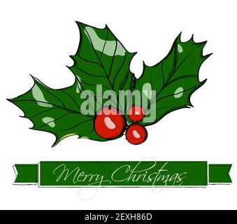 Natale agrifoglio. Foto Stock