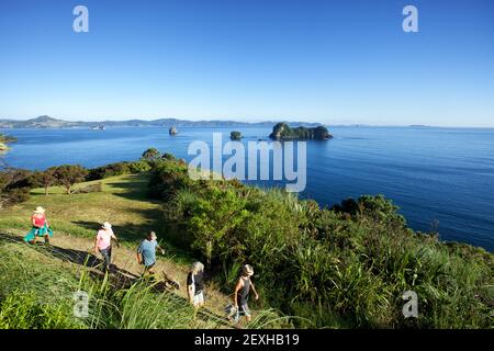 Camminatori sul percorso costiero per Cathedral Cove vicino a Hahei Sulla penisola di Coromandel, nell'Isola del Nord della Nuova Zelanda Foto Stock