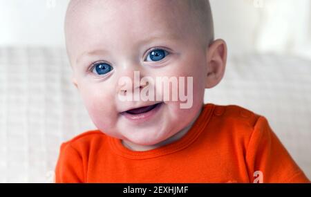 Bright Blue Eyed ragazzo di sei mesi Foto Stock