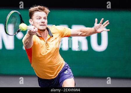 ROTTERDAM, PAESI BASSI - 4 MARZO: David Goffin del Belgio durante la sua partita contro Jeremy Chardy della Francia nel 48° torneo di tennis del mondo ABN AMRO Foto Stock