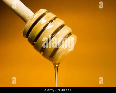 Il miele gocciolatore Sweet Food spandiconcime Bee Cibo dolce Foto Stock