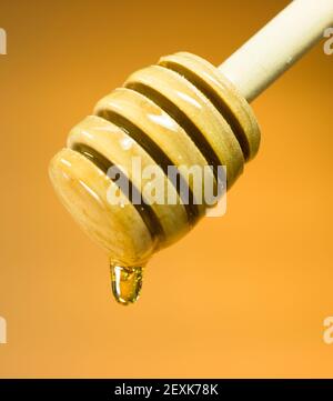 Il miele gocciolatore Sweet Food spandiconcime Bee Cibo dolce Foto Stock