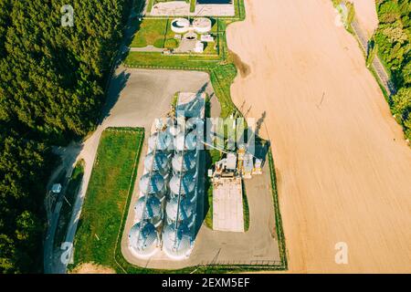 Vista aerea Granaio moderno, complesso di essiccazione cereali, cereali commerciali o silos semi nel paesaggio rurale della sorgente solare. Essiccatoio per mais Silos, cereali interni Foto Stock