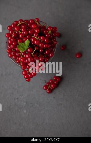 Ribes in una ciotola su sfondo nero. Bacche rosse. Bacche vitaminiche. Spazio di copia. Foto Stock