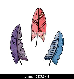 Una serie di illustrazioni doodle di piume fumettiche brillanti. Un insieme di elementi per il progetto. Illustrazione Vettoriale