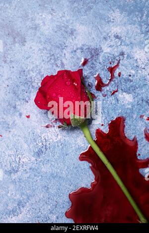 Rose rosse e sangue su sfondo blu con spazio per la copia e spazio per il testo Foto Stock