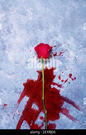 Rose rosse e sangue su sfondo blu con spazio per la copia e spazio per il testo Foto Stock