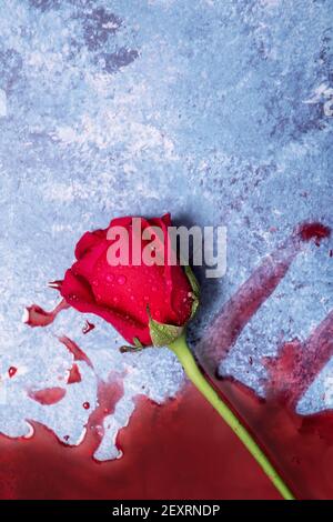 Rose rosse e sangue su sfondo blu con spazio per la copia e spazio per il testo Foto Stock