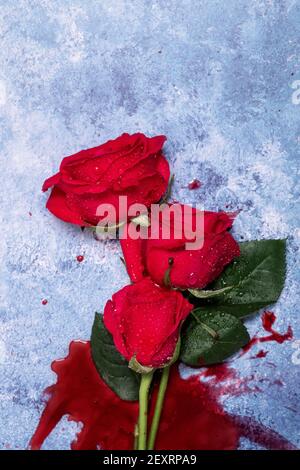 Rose rosse e sangue su sfondo blu con spazio per la copia e spazio per il testo Foto Stock