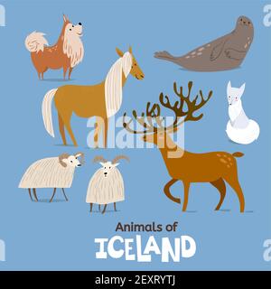 Animali d'Islanda in un design piatto e moderno. Illustrazione Vettoriale