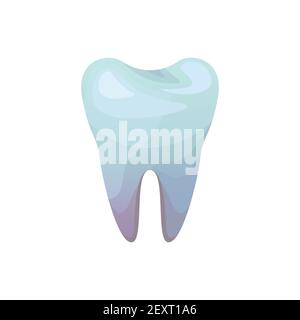 Illustrazione isolata da vettore di un dente molare. Icona dentale Illustrazione Vettoriale