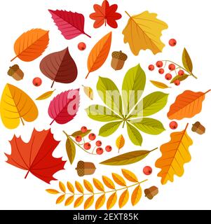 Foglie autunnali piatte. Colorato autunno parco foglia acero Elm quercia castagno, geometric piatto fogliame. Design vettoriale a tema autunno rotondo. Illustrazione foglia autunno, fogliame botanico floreale Illustrazione Vettoriale